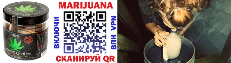 Купить  Горно-Алтайск  Canna-Cookies конопля 