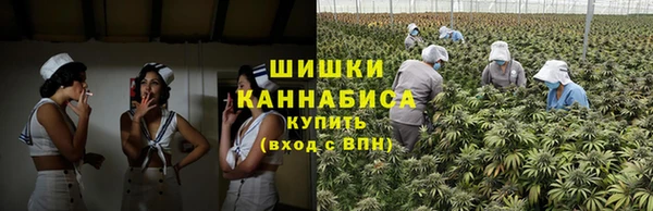молекула духа Коряжма