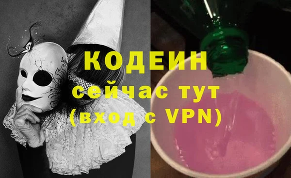 молекула духа Коряжма