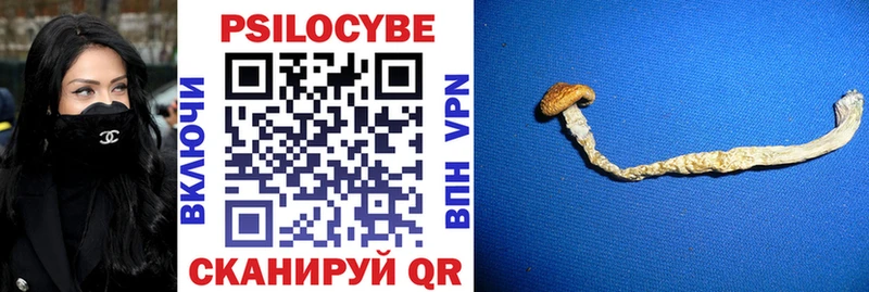 Галлюциногенные грибы мицелий  Купить закладки  Горно-Алтайск 